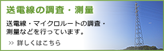 送電線の調査・測量 送電線・マイクロルートの調査・測量などを行っています。